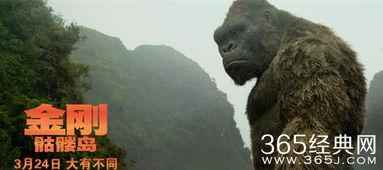 金刚 骷髅岛花絮,幕后揭秘，惊心动魄的花絮故事