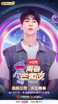 芒果节的明星,璀璨星光下的狂欢盛典