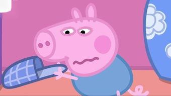 网红猪小粉猪,网红猪的逆袭之路