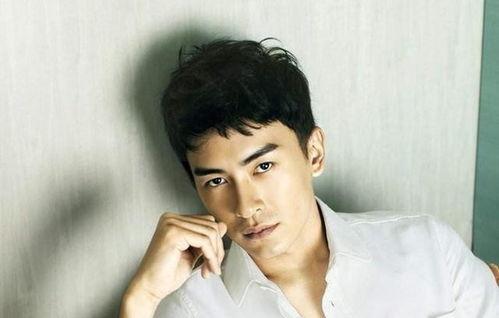 娱乐圈高颜值男星,颜值与才华并存的璀璨星河